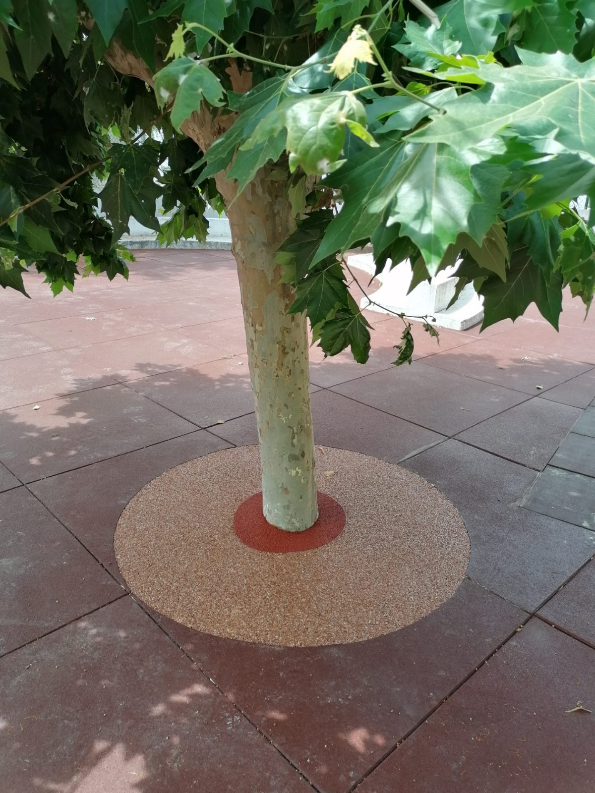 pedras decorativas